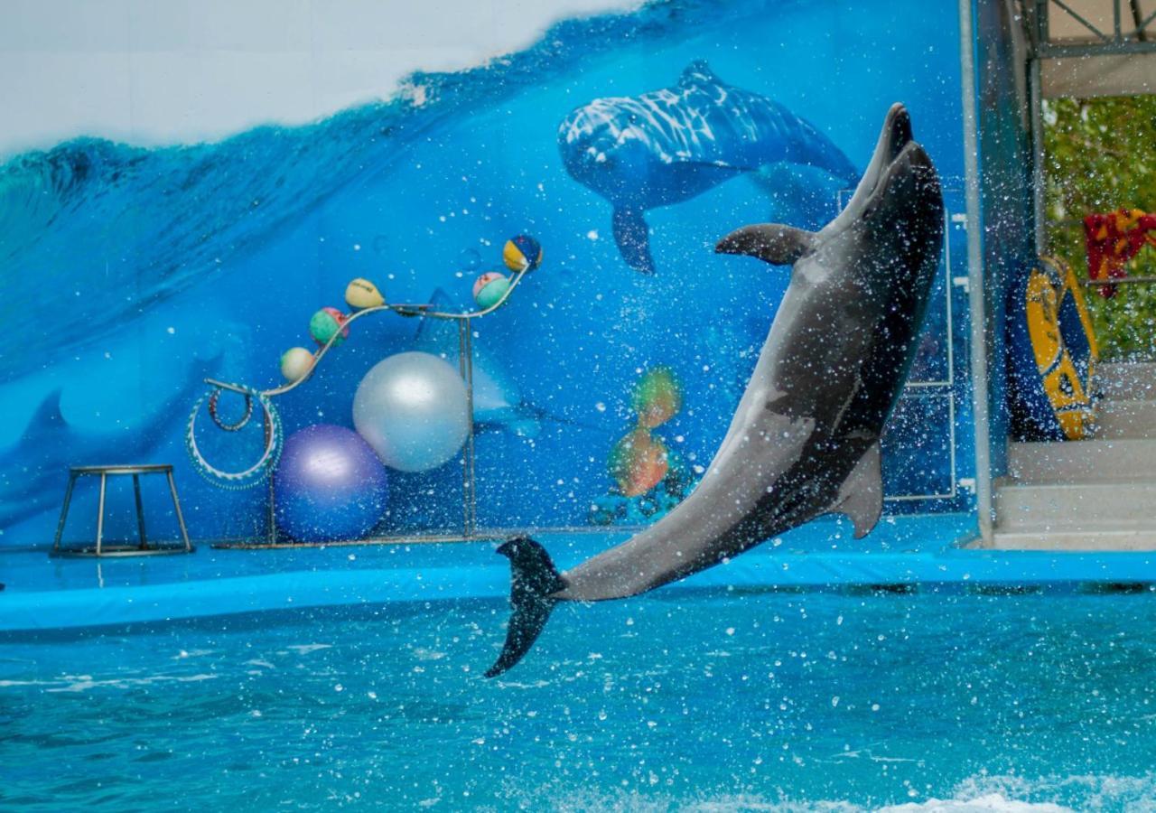 Moevenpick Hotel Apartments Al Mamzar Ντουμπάι Εξωτερικό φωτογραφία Dolphin show at the park
